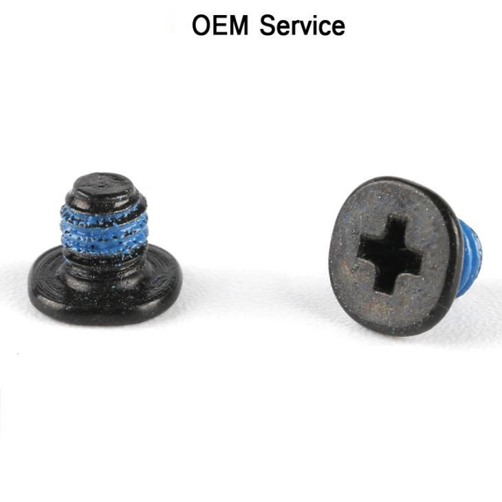 Flat Phillips Nylok Small Screw